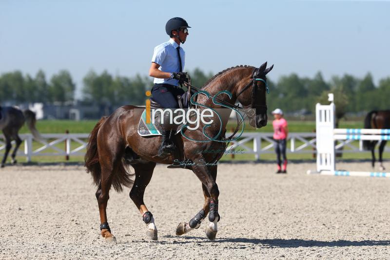 DeLuca_George_Knokke2019_4740.jpg