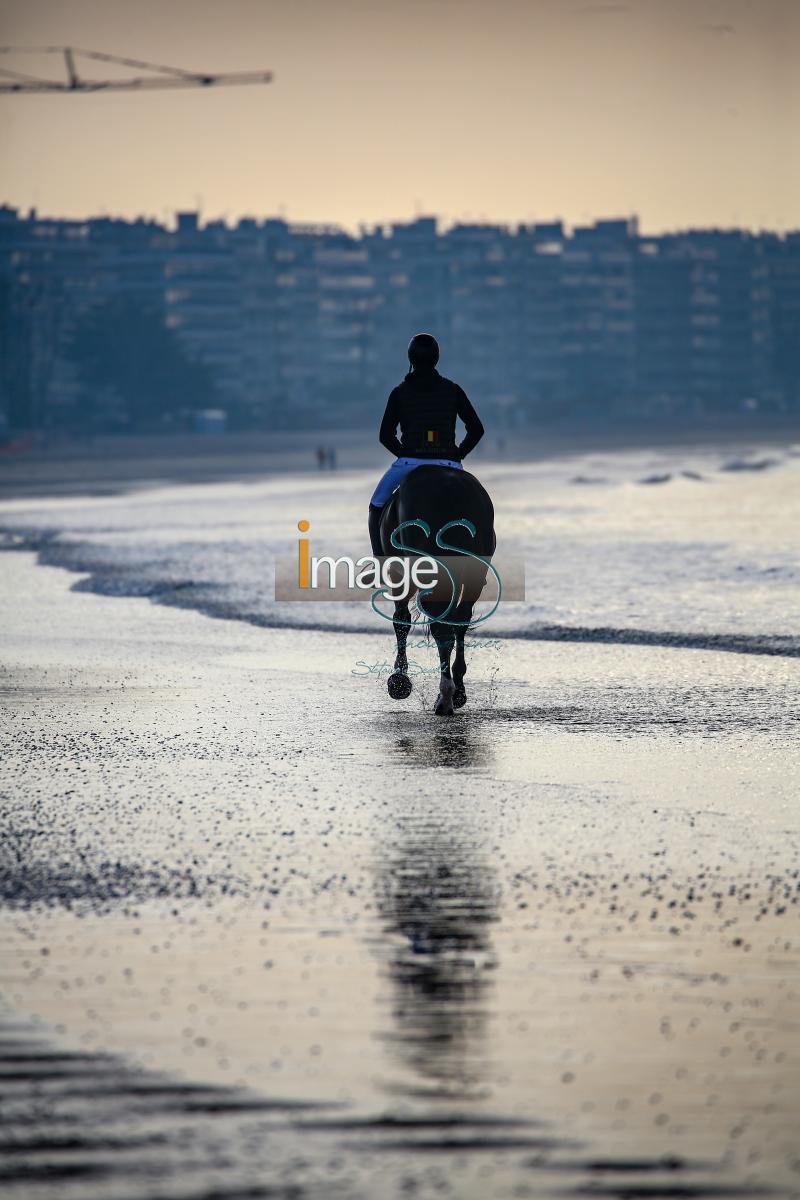 beach_LaBaule2019_SS9_0474.jpg