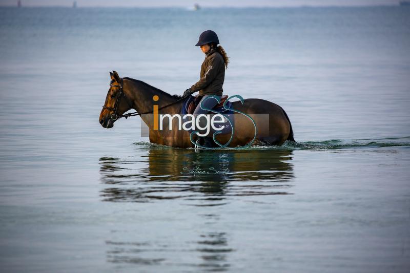 beach_LaBaule2019_SS9_0494.jpg