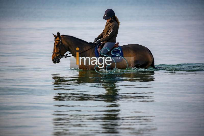 beach_LaBaule2019_SS9_0499.jpg