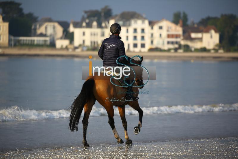 beach_LaBaule2019_SS9_0568.jpg