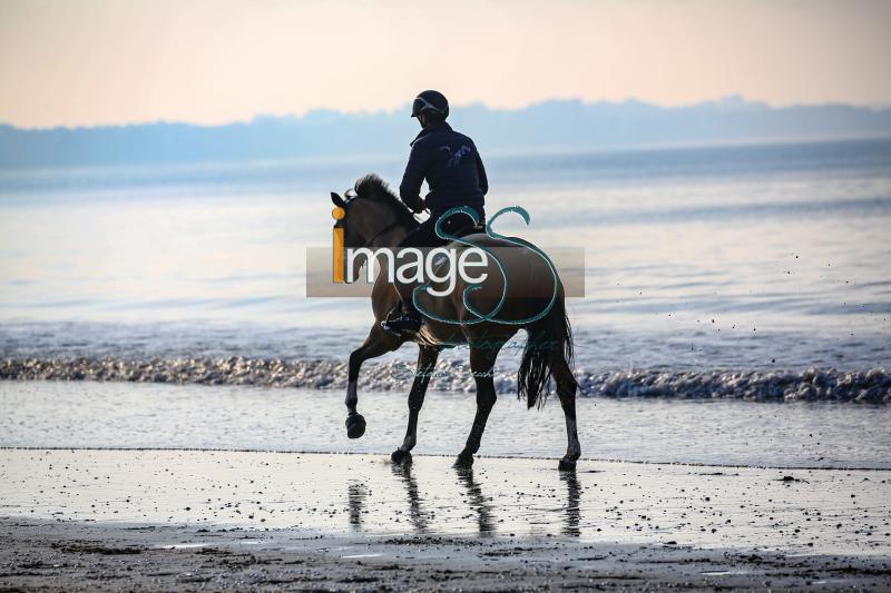 beach_LaBaule2019_SS9_0647.jpg