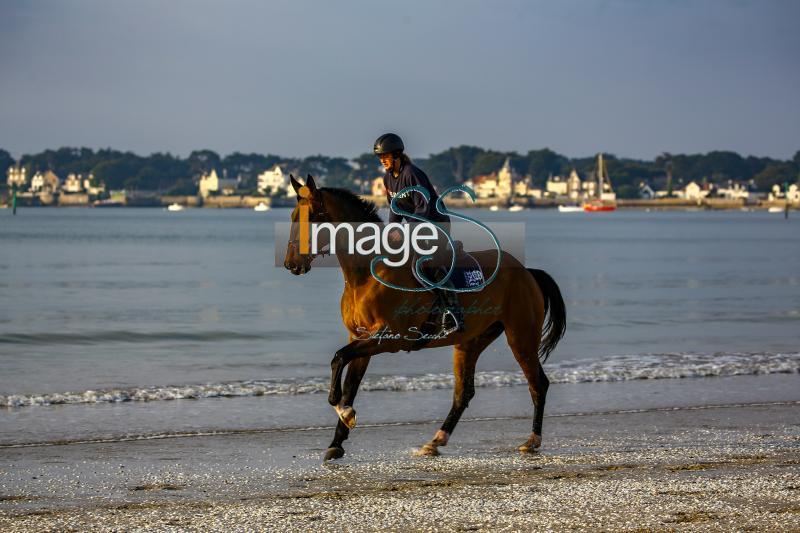 beach_LaBaule2019_SS9_0676.jpg