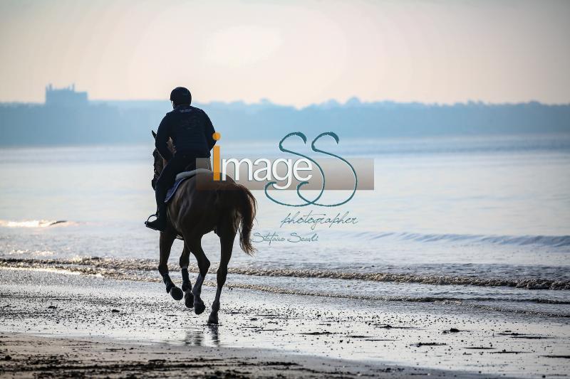 beach_LaBaule2019_SS9_0692.jpg