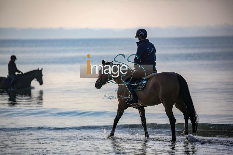 beach_LaBaule2019_SS9_0785.jpg