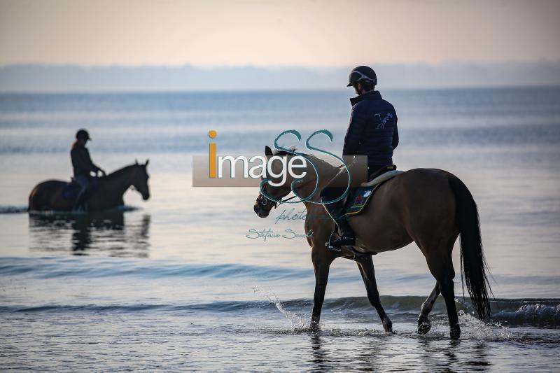 beach_LaBaule2019_SS9_0786.jpg