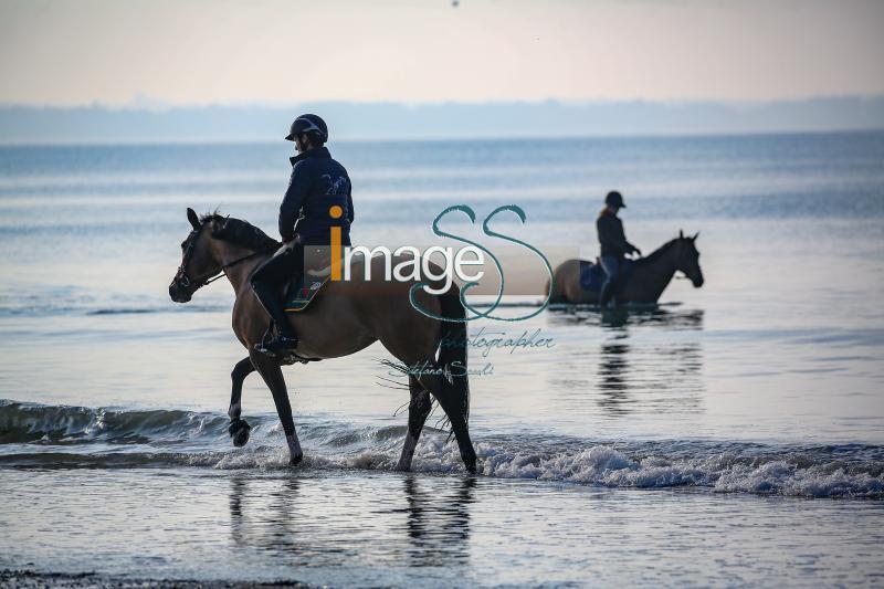 beach_LaBaule2019_SS9_0790.jpg