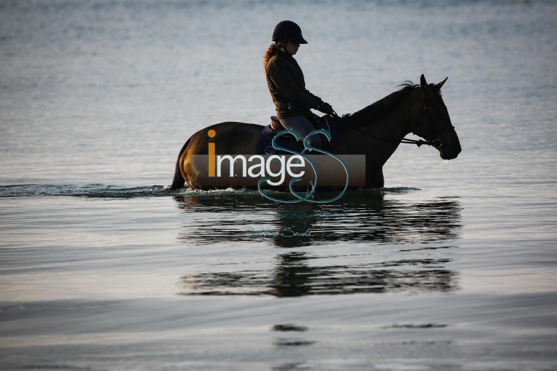 beach_LaBaule2019_SS9_0804.jpg