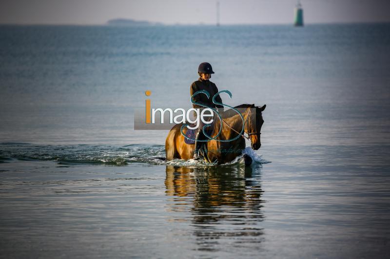 beach_LaBaule2019_SS9_0811.jpg