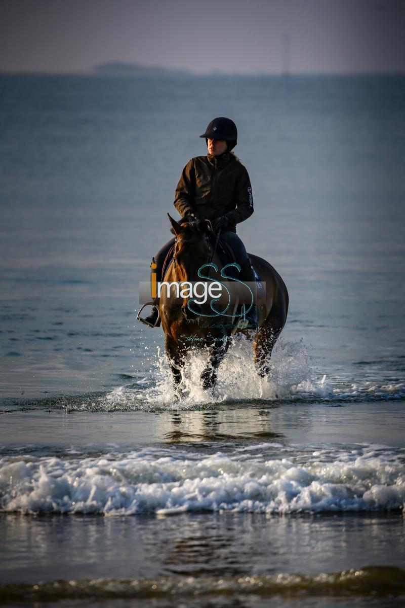 beach_LaBaule2019_SS9_0824.jpg