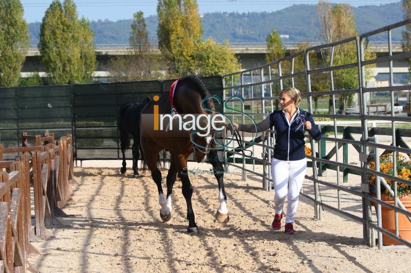 premiazione_Arezzo2020_SS7_1109.JPG