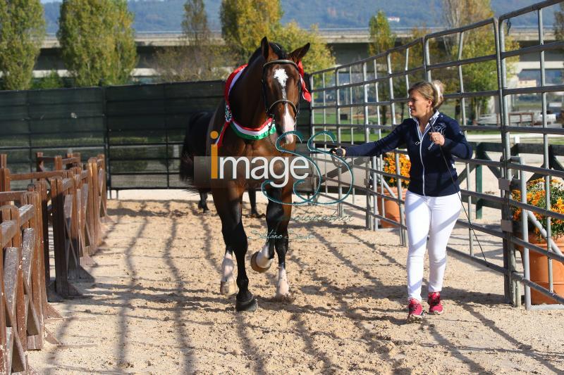 premiazione_Arezzo2020_SS7_1117.JPG