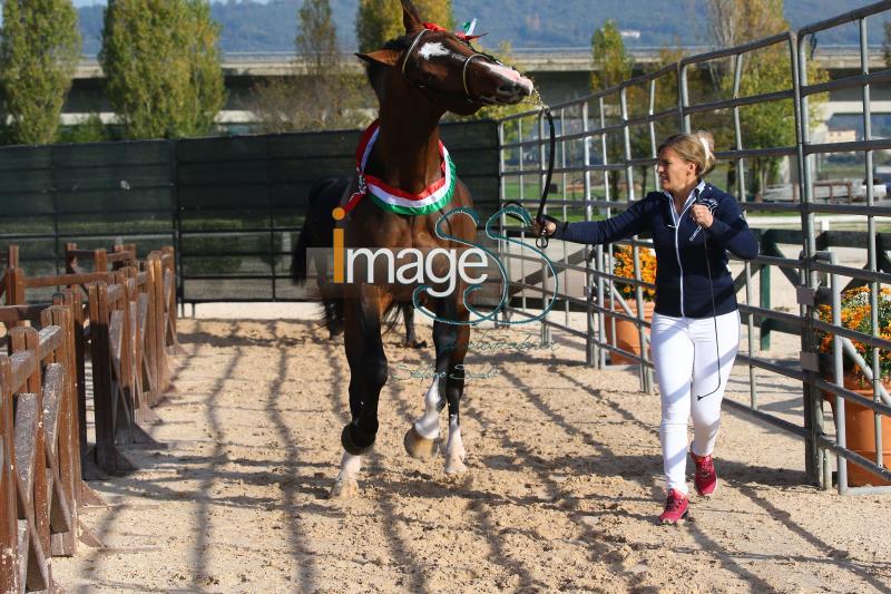 premiazione_Arezzo2020_SS7_1118.JPG