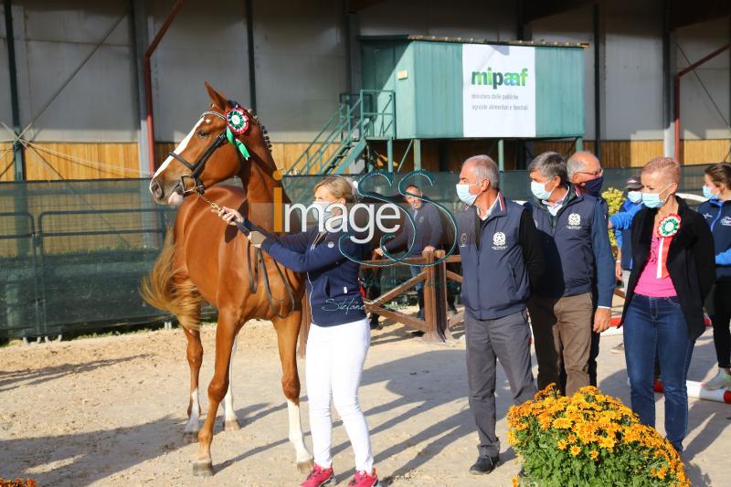 premiazione_Arezzo2020_SS9_5918.JPG