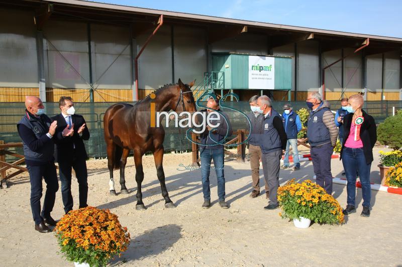 premiazione_Arezzo2020_SS9_5930.JPG